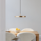 UMAGE Lifestyle Asteriamedium Brass 1 56D706fc F293 44Af 9E41 80A0cce62001.png