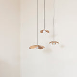 Forget Me Not bundle | pendant lampshade